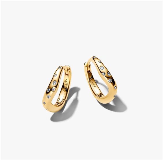 Orecchini Pandora Donna Organic in Lega metallica Cubic Zirconia 264663C01 - 264663C01